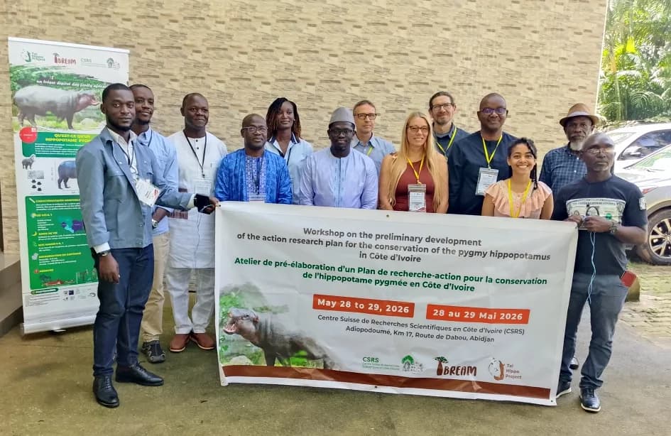 Workshop on pygmy hippopotamus conservation