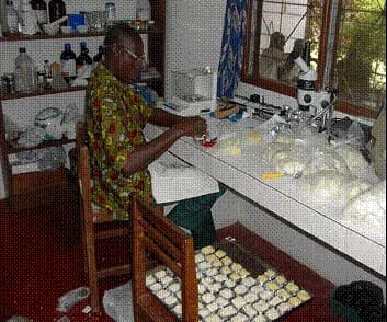 Laboratoire de Bringakro: matière sèche, chimie,
microscopie, pesés, ordinateur