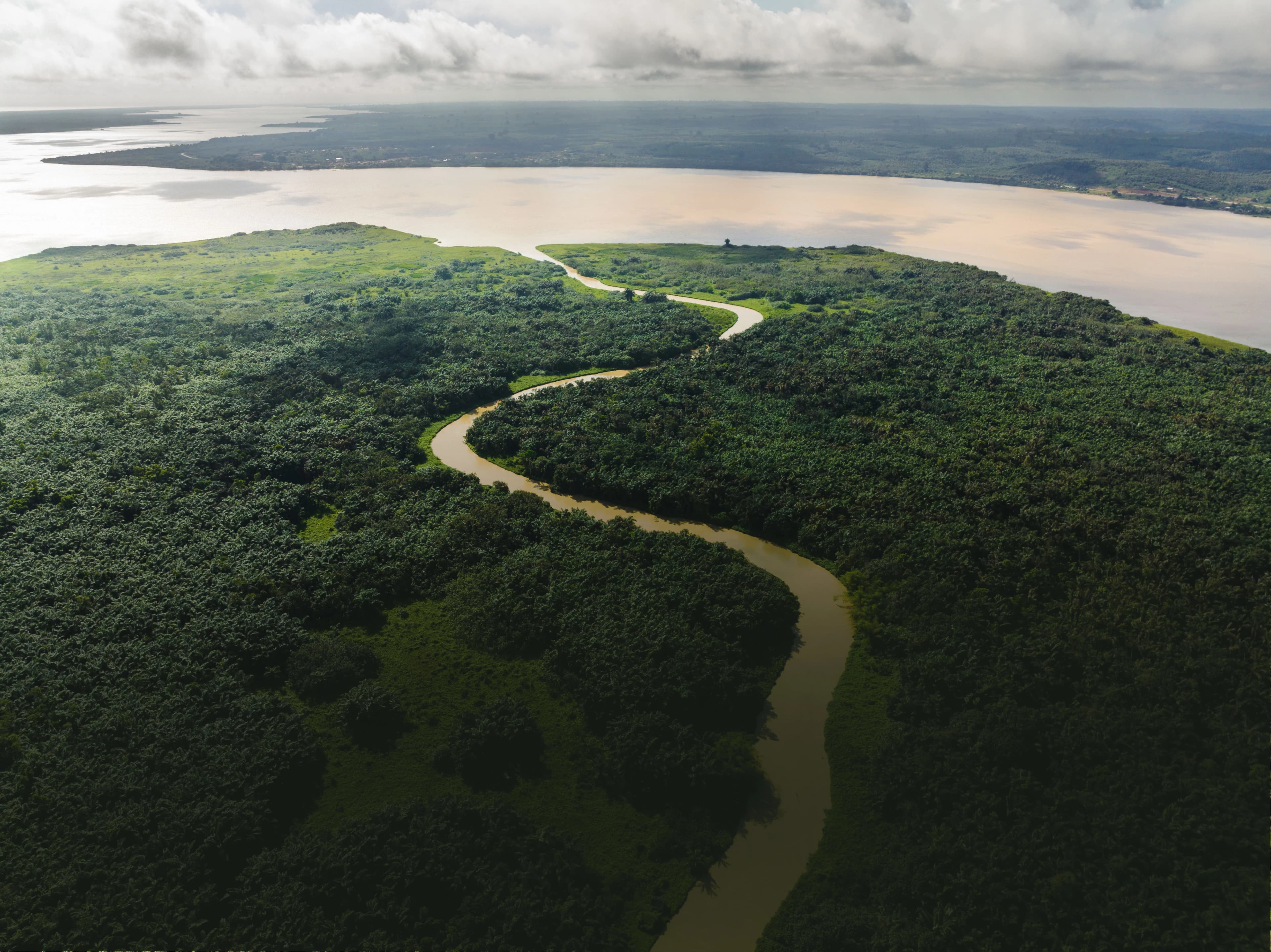 Illustration du programme Biodiversité et solutions fondées sur la nature.