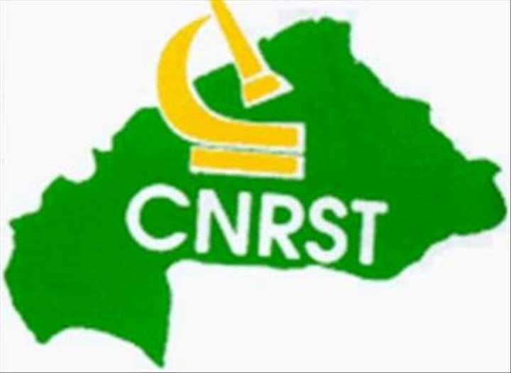 Logo de Centre national de recherche scientifique et technologique (CNRST)