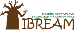 Logo de IBREAM
